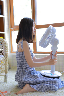 决战燕子门